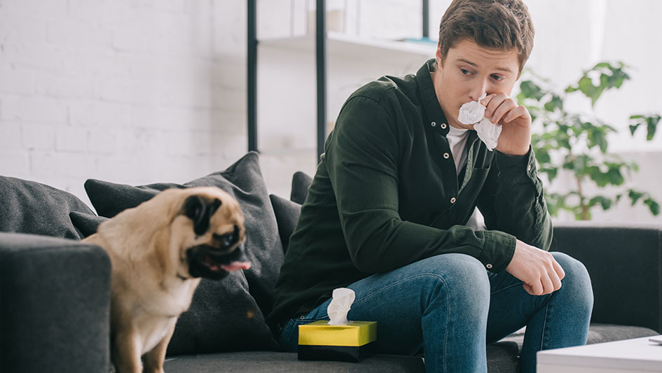 Installing an air purifier is one of the smartest methods to boost your residence’s indoor air quality. Discover more about the three smartest solutions. 